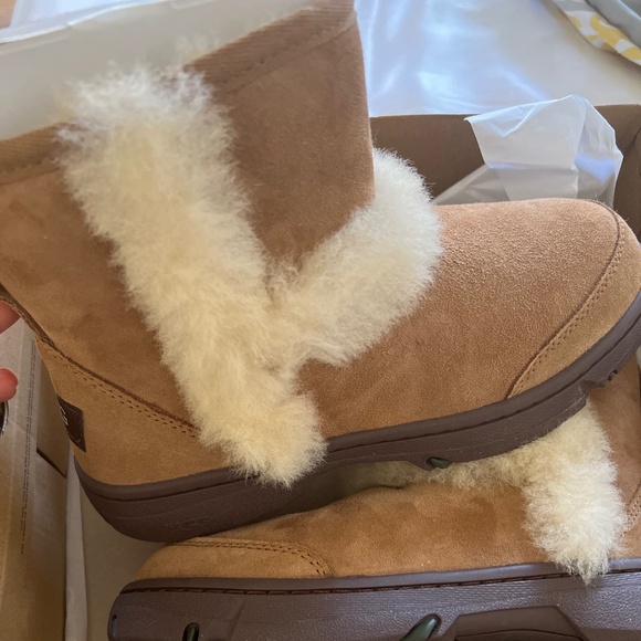 UGG Shoes - Ugg boots
